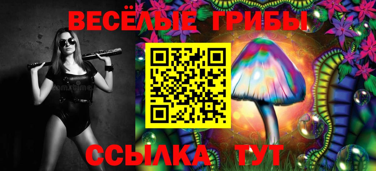 Галлюциногенные грибы прущие грибы Артёмовский