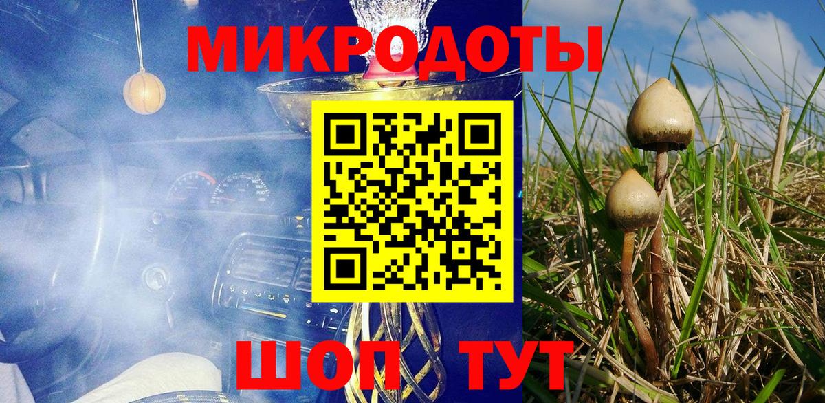 Артёмовский  где купить наркоту  Вход с VPN  Галлюциногенные грибы Psilocybe 